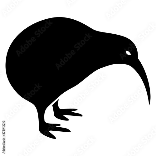 silhouette of a kiwi bird