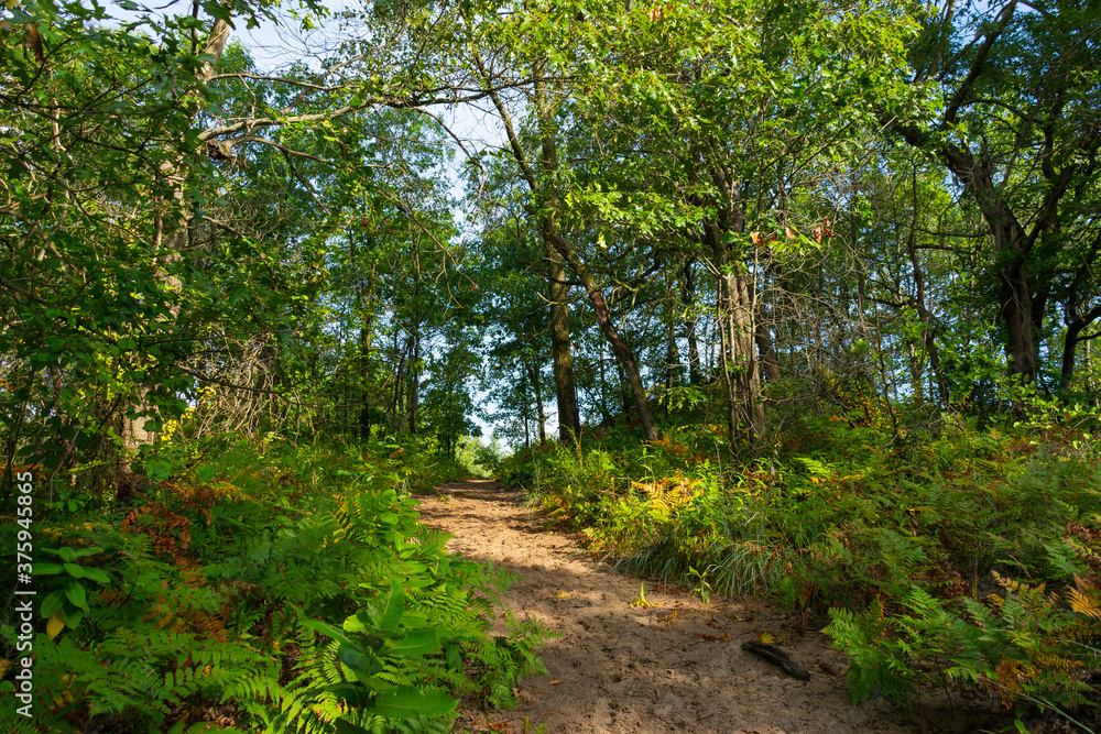 Hiking Trail Hiking Trail