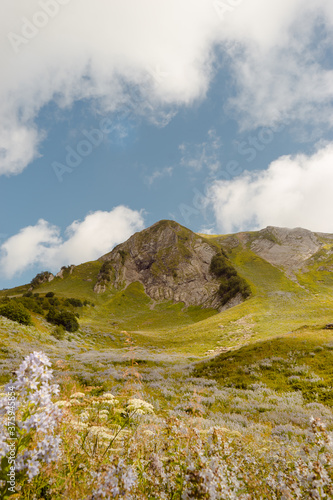 Alps mountain meadow tranquil summer view. Mountain valley village landscape summer. Mountain village view. Village in mountains. Mountain valley village landscape.