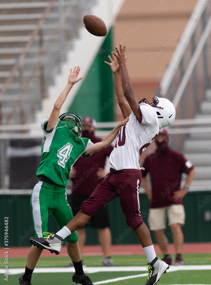 Fototapeta premium Amazing athletes making great catches and runs during a competitive football game