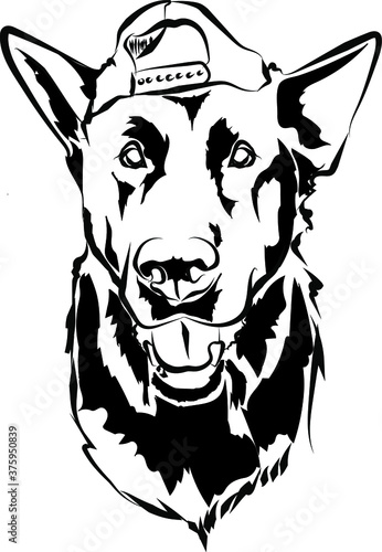 German shepherd funny portrait vector illustration

