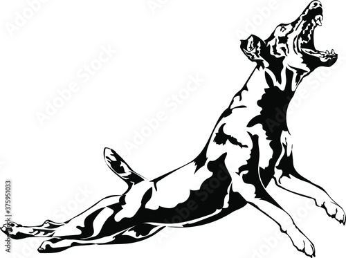 Jagdterrier dog jumping vector silhouette illustration photo