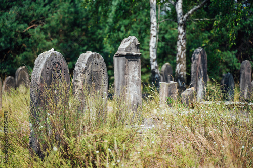 Tombstone at abandoned jewish cemetery in the middle of forest in Zarki, Poland. 18th century graveyard hidden in the woods. Forgotten tombstones and matzevot of dead jews are deteriorating. 