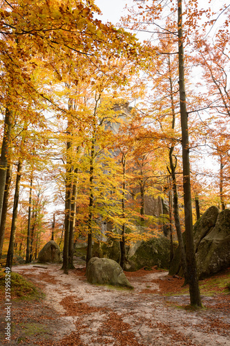 Dovbush Rocks in Bubnishche. Beautiful autumn landscape of fantastic stone boulders among the picturesque forests in the Carpathian mountains. Travel destinations in Eastern Europe and Ukraine photo
