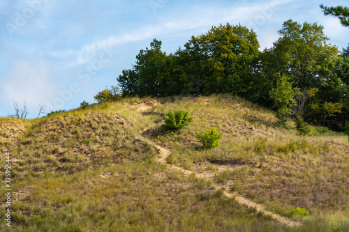 Indiana Dunes Landscape