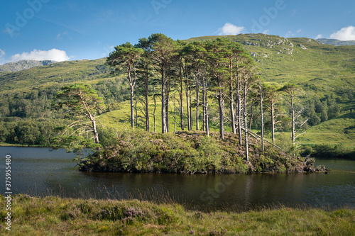 Schilderij op canvas Eilean Na Moine islet at Loch Eilt, Scotland, UK