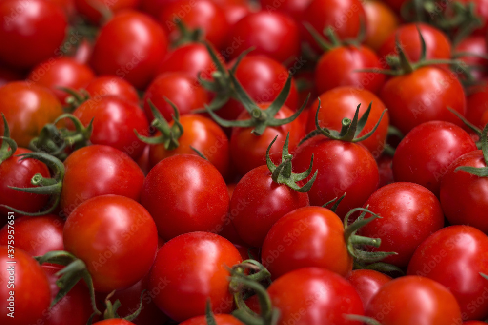 Lots of red round tomatoes with green cuttings, background texture. Ripe vegetables, freshly harvested