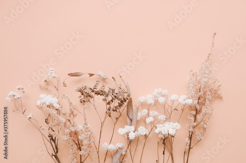 Romantic dried flowers on pink background. © meteoritka