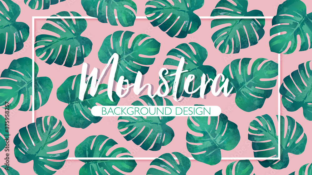 Monstera leaves on pink background with frame. Hand drawn tropical leaf vector illustration in watercolor textured Monstera leaves on pink background with frame. Hand drawn tropical leaf vector illustration in watercolor textured