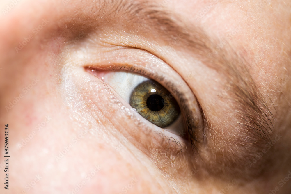 Fototapeta premium Close-up of a human eye without make-up