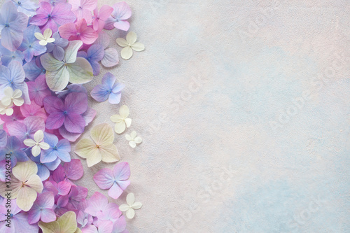 Decorative background with colored hydrangea flowers, space for text