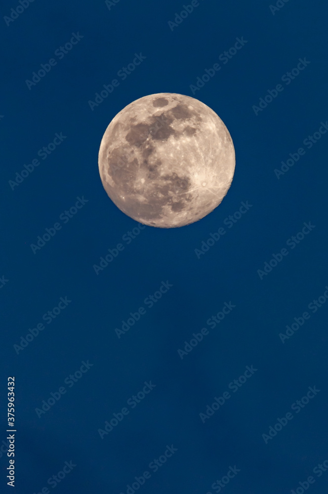 Full moon in the blue sky Full moon in the blue sky