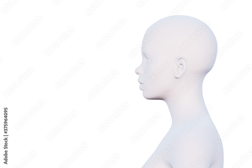 minimal female head in profile isolated on white, 3d render minimal female head in profile isolated on white, 3d render