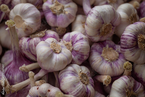 garlic close up in wooden crates