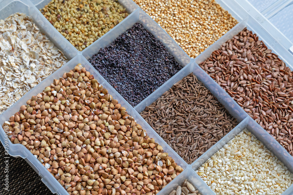 Seeds Grains Selection Seeds Grains Selection