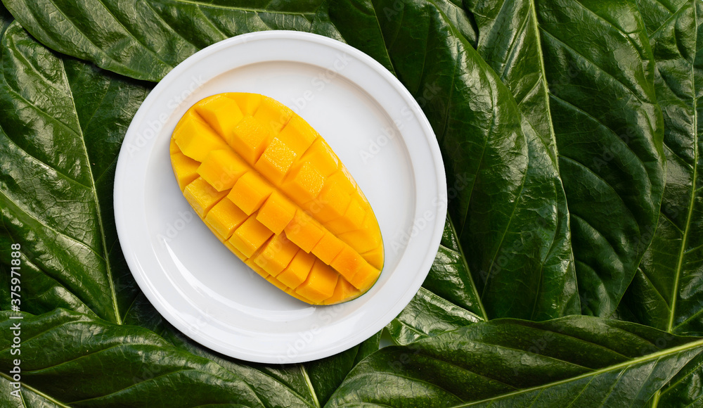 Mango on white ceramic plate on leaves background.