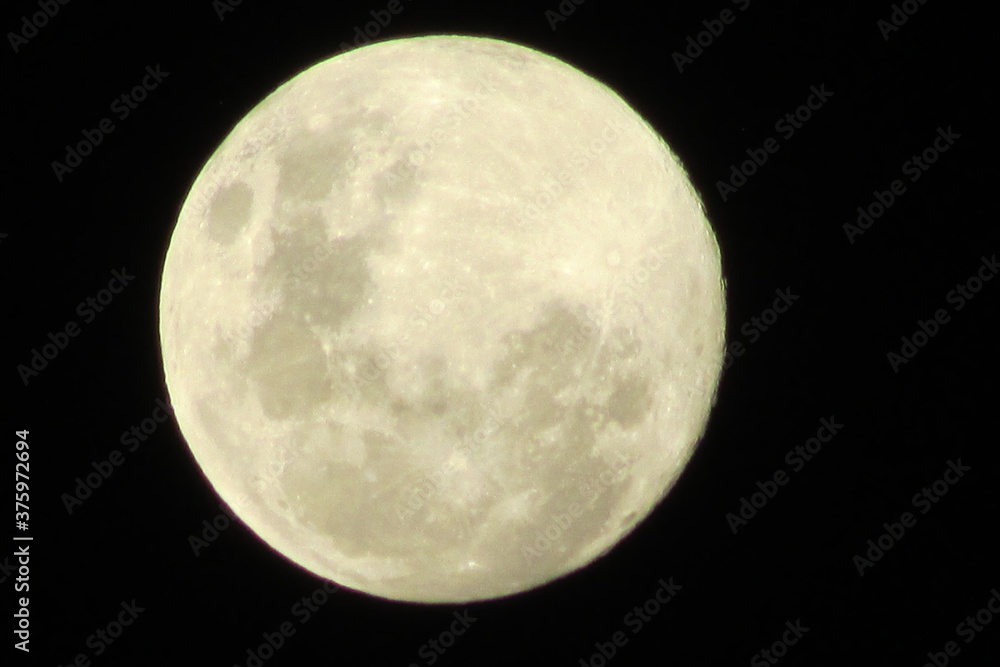 moon moon