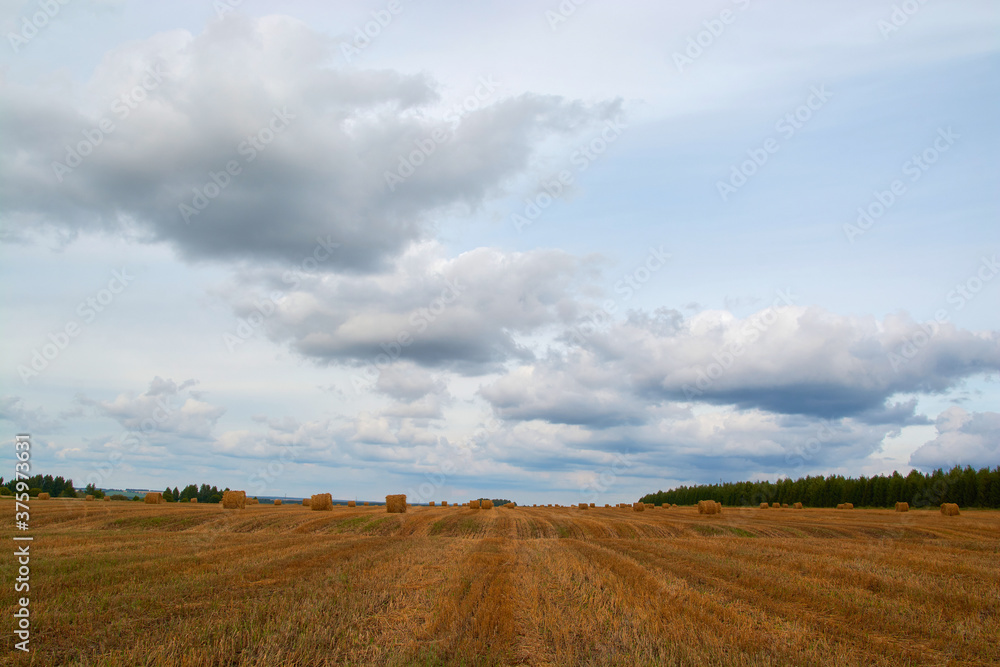 Yellow bales in the field and clouds