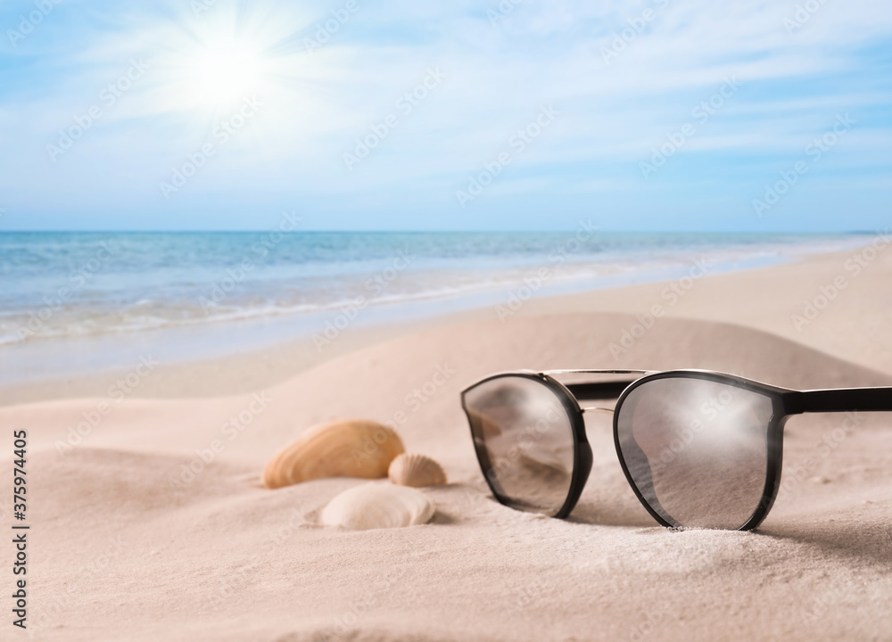 Shells and stylish sunglasses on sandy beach near sea