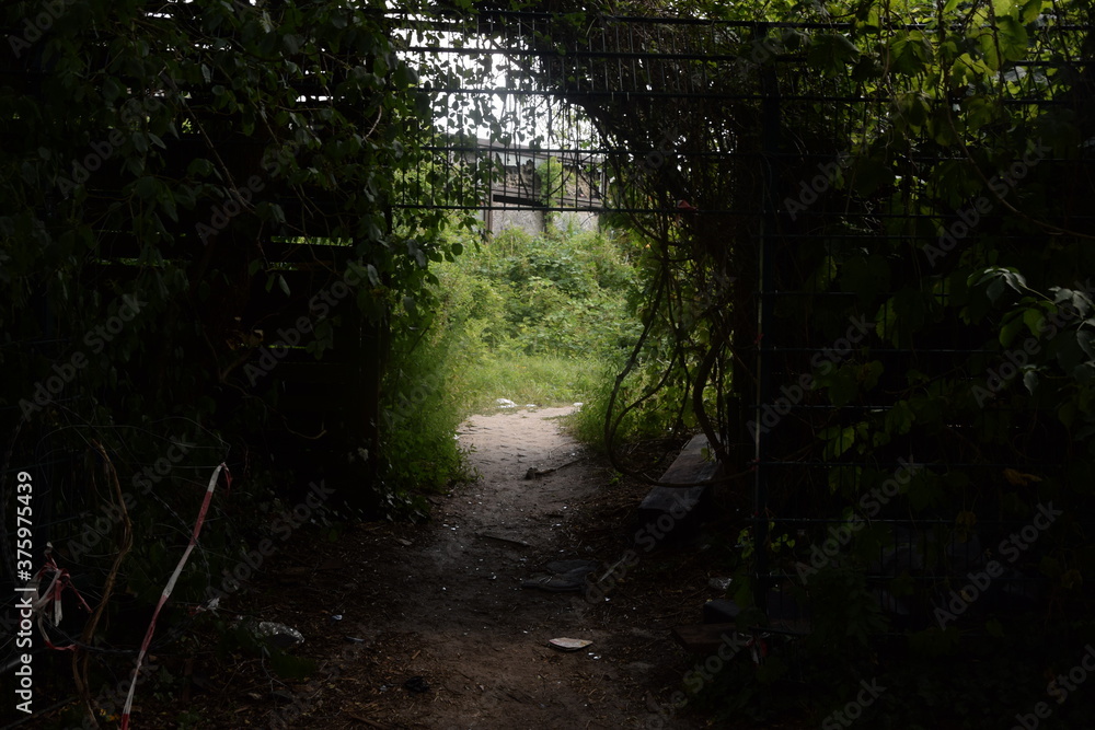 Fototapeta premium Lost Place: Blubb Berlin