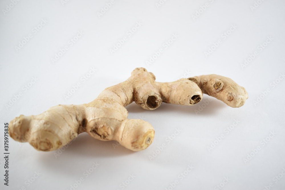 front view of a ginger on a white background
front view of a ginger on a white background