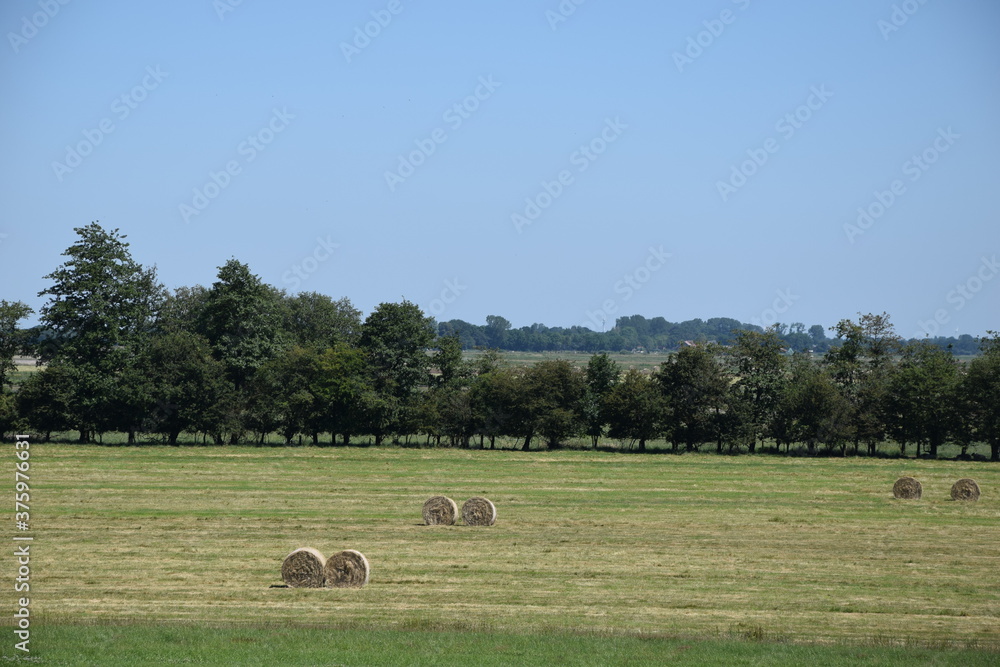 Panzerfeld bei Wahn