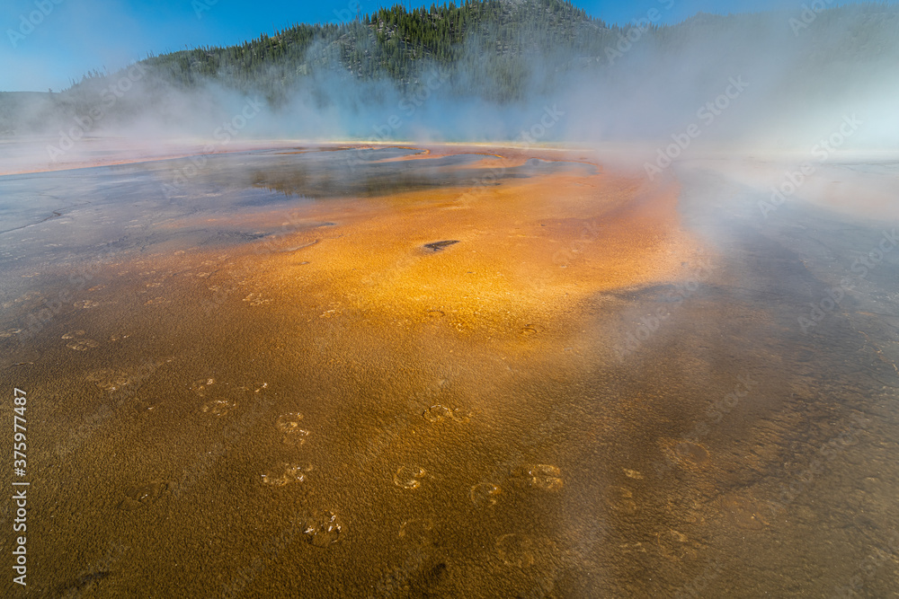 Bacteria and Mud Formations at the Grand Prismatic Spring, Yellowstone National Park