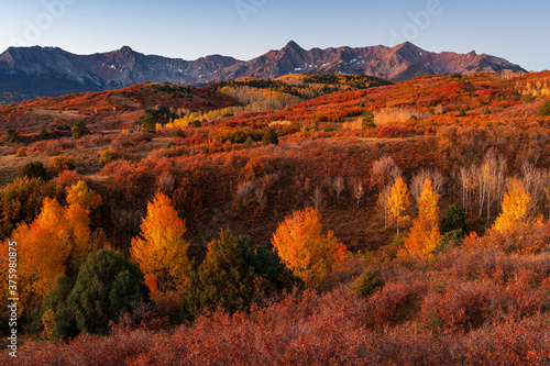 Dallas Divide with fall colors in the San Juan Mountains, Colorado