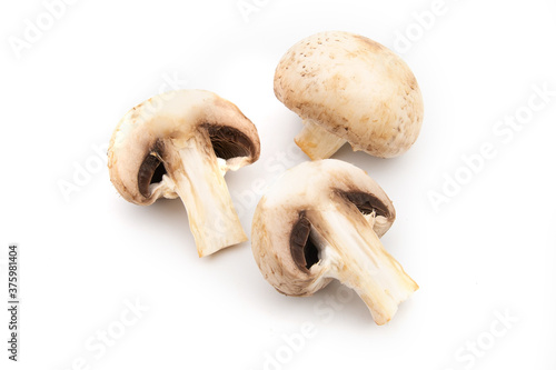mushroom champignon isolated on white background