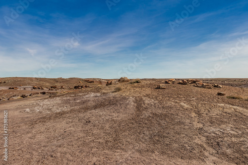 Rough desert terrain filled with petrified wood, Petrified National Forrest, AZ, USA