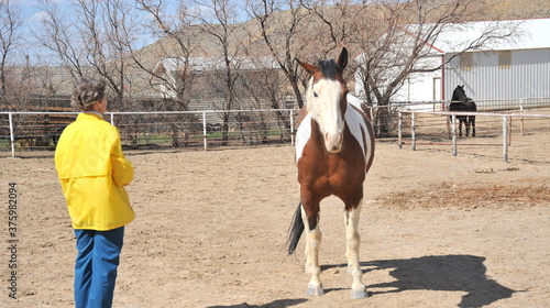 Female rancher bonding with horse.