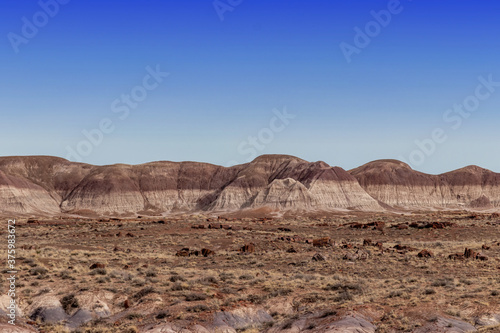 Dual colored folding hills behind special rocks at the Petrified National Forrest  AZ  USA
