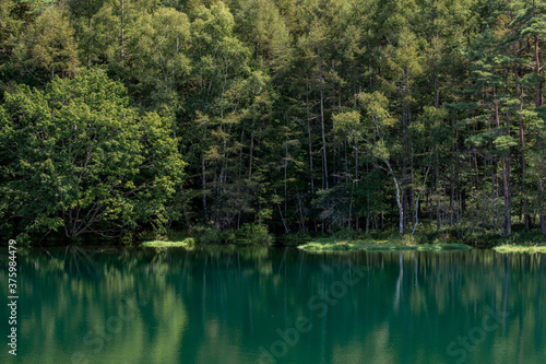 静かな池 © F.Mikami