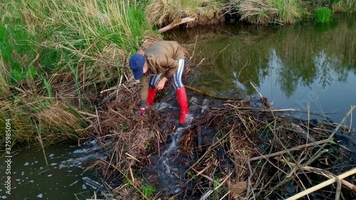 Full shot of woman standing over beaver dam while removing sticks and debris, static, day photo