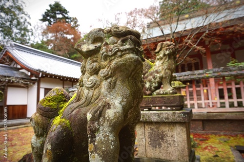 Komainu (狛犬) - Shrine Stone Lions 