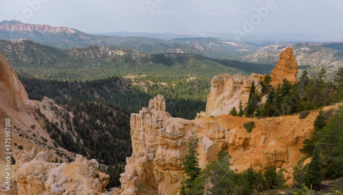 Panorama of summer landscape in Zion Canyon, Utah, USA.