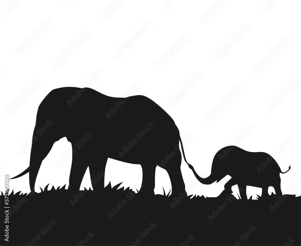 Fototapeta premium Design of elephants family walking