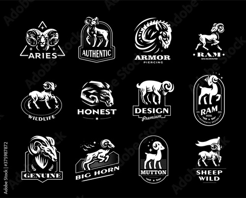 Collection of wild and domestic sheep. 