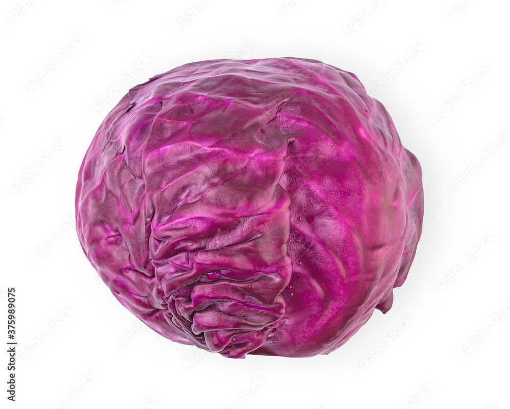 red cabbage isolated on white background. red cabbage isolated on white background.