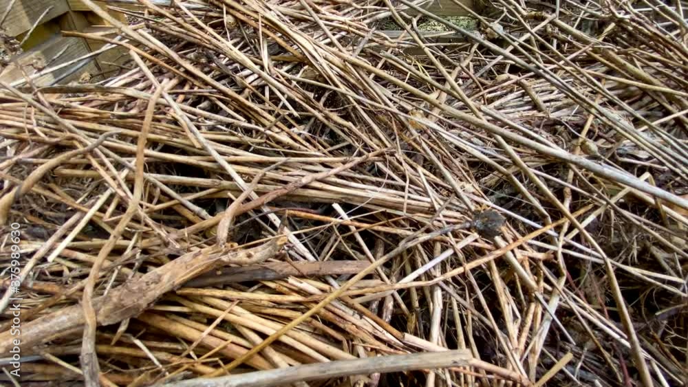 Georgia Farm Compost Full Of Hay And Twigs, Close Up Shot In 4k Georgia Farm Compost Full Of Hay And Twigs, Close Up Shot In 4k