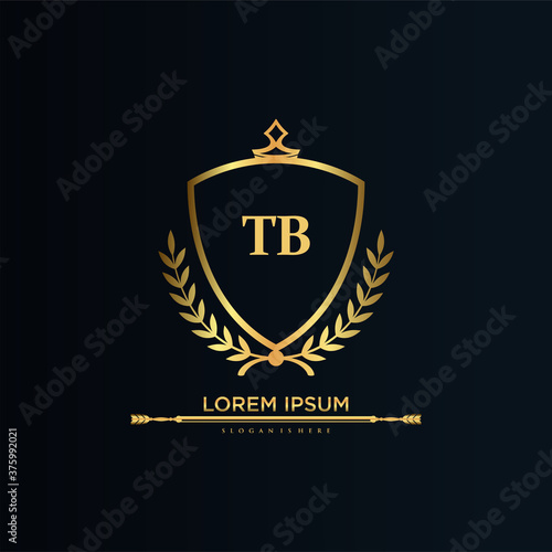 TB Letter Initial with Royal Template.elegant with crown logo vector, Creative Lettering Logo Vector Illustration.