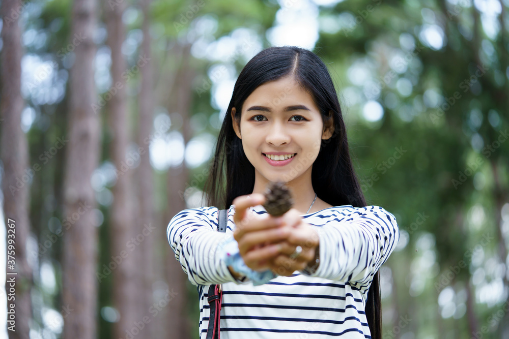 Young beautiful Asian woman holding pine seed (pine cone) at Pine forest. Young beautiful Asian woman holding pine seed (pine cone) at Pine forest.