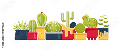 vector illustration of cactus on white background.
