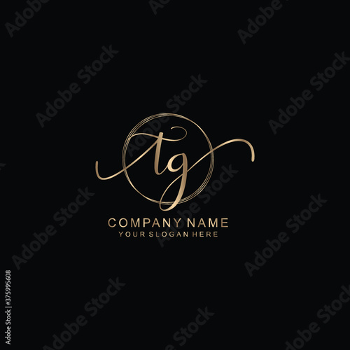TG Initial handwriting logo template vector

