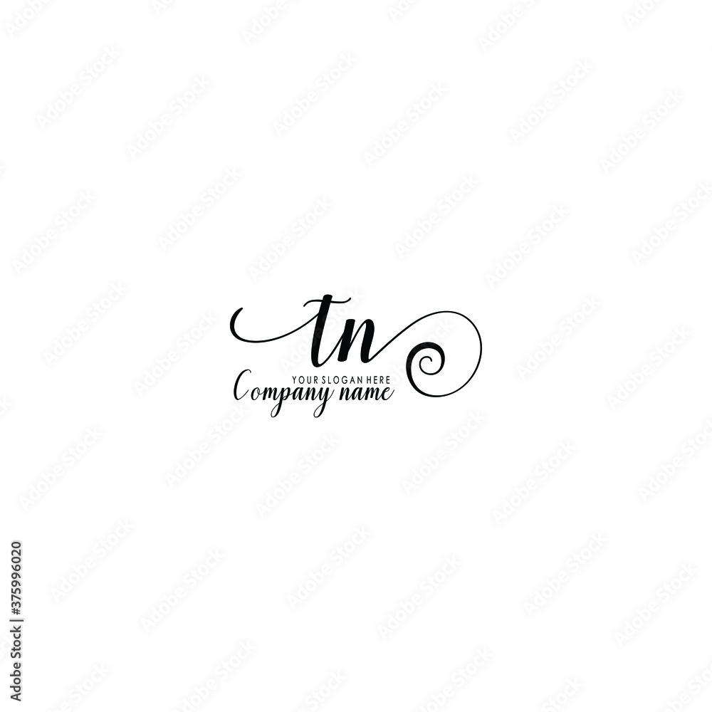 TN Initial handwriting logo template vector