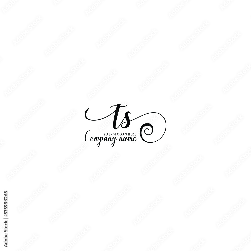 TS Initial handwriting logo template vector

