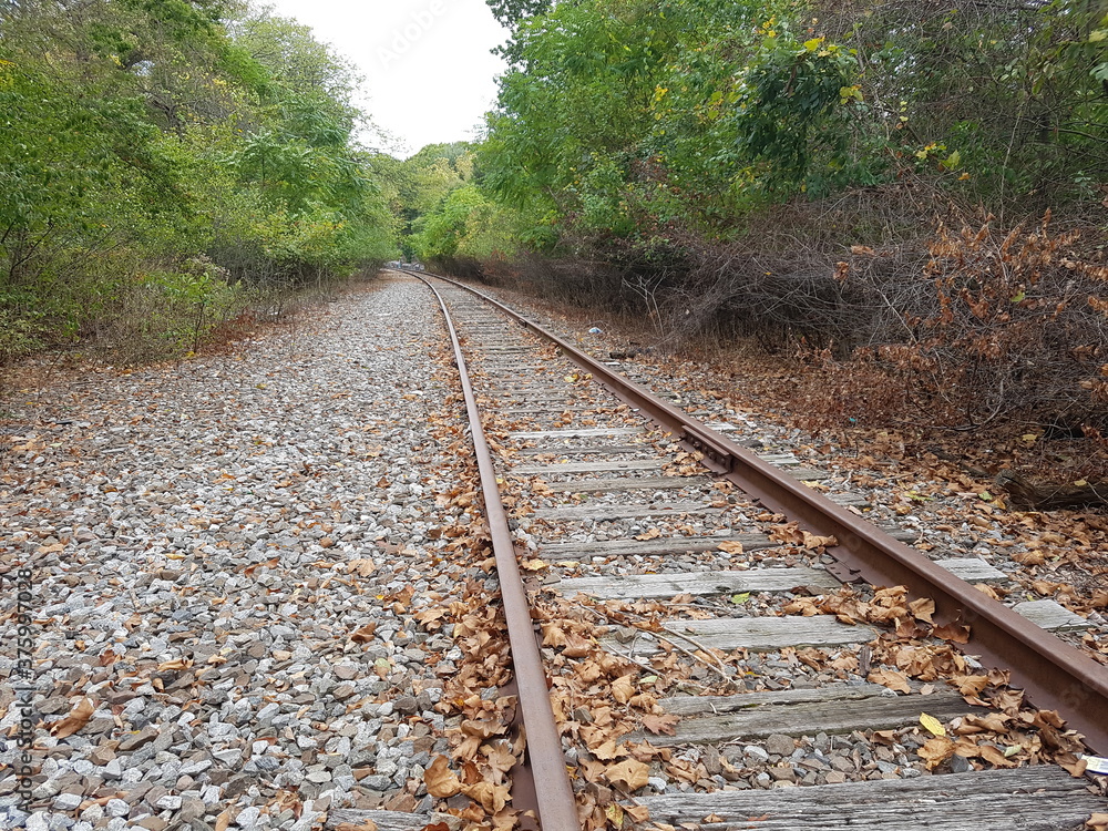 Obraz premium paseos