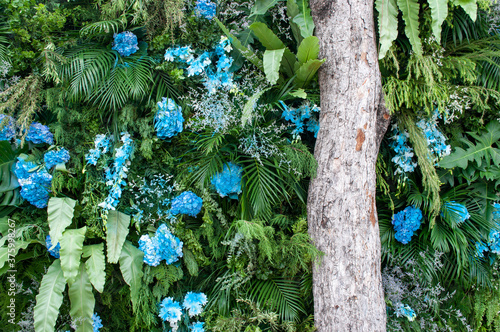 The blue flowers are beautifully arranged on the leaf background. 
