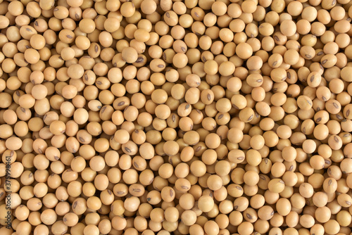 Soybean background. Agricultural products for making soy milk,Top view.