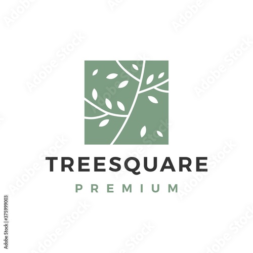 tree square logo vector icon illustration